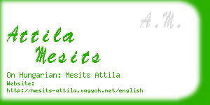 attila mesits business card